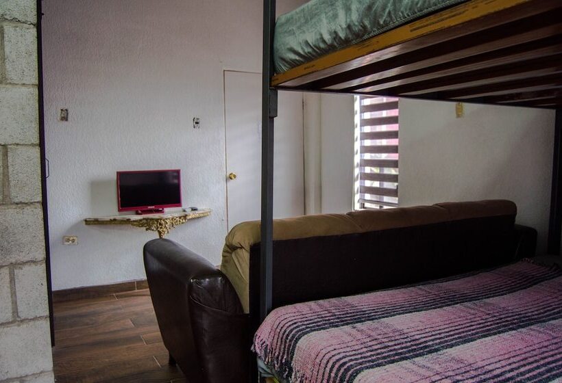 تختخواب در اتاق مشترک, Paqui B&b By Rotamundos