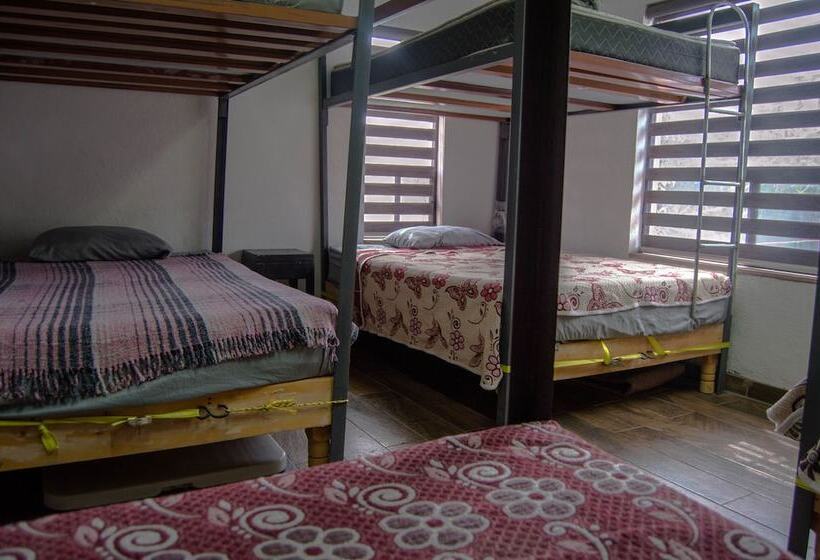 تختخواب در اتاق مشترک, Paqui B&b By Rotamundos