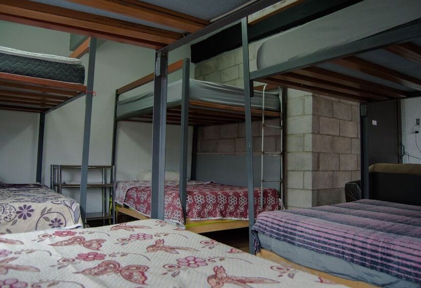 تختخواب در اتاق مشترک, Paqui B&b By Rotamundos