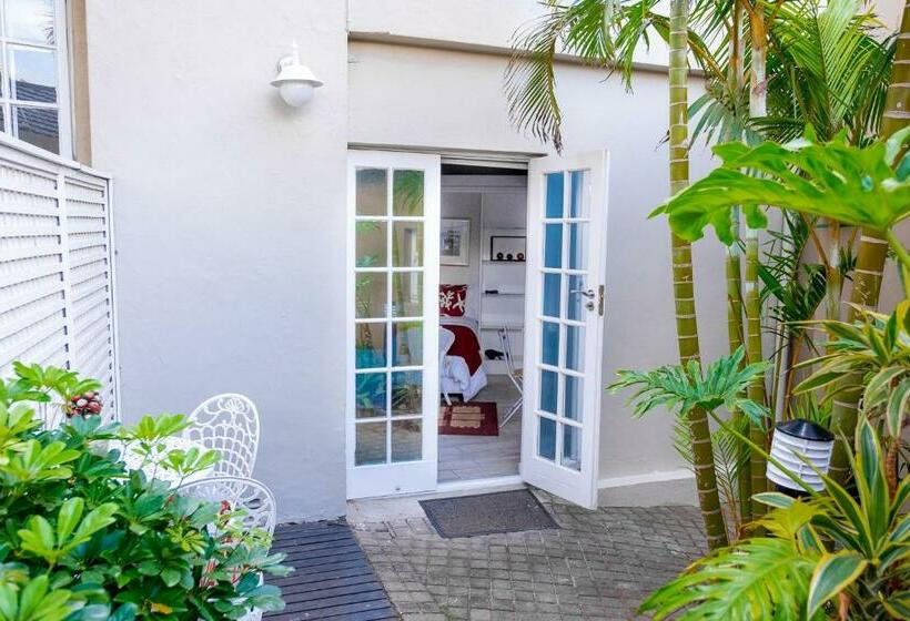 اتاق اکونومی, Conifer Beach House