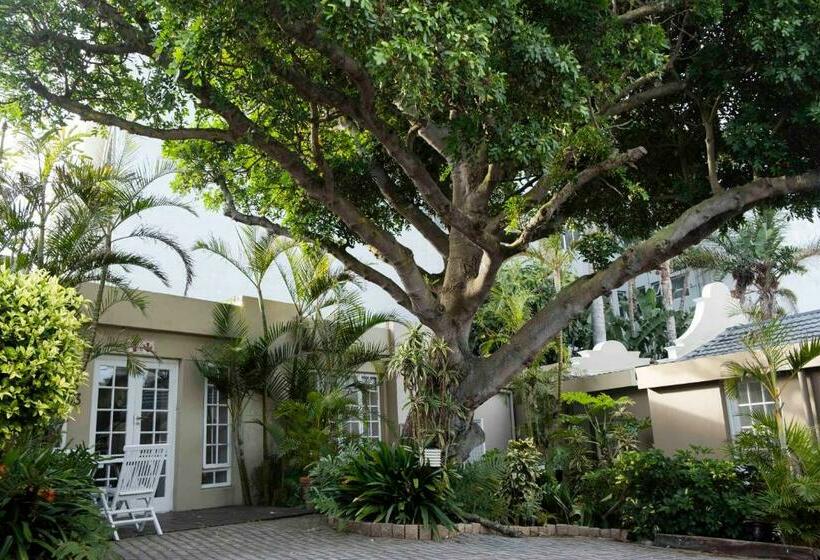 اتاق خانوادگی, Conifer Beach House