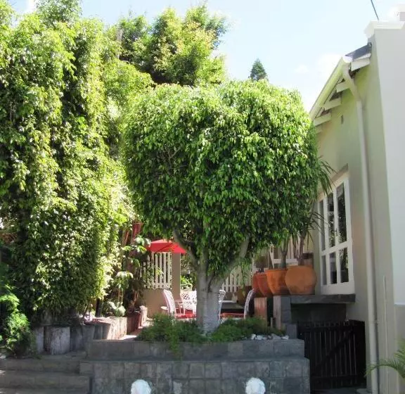 スタンダードルーム, Conifer Beach House