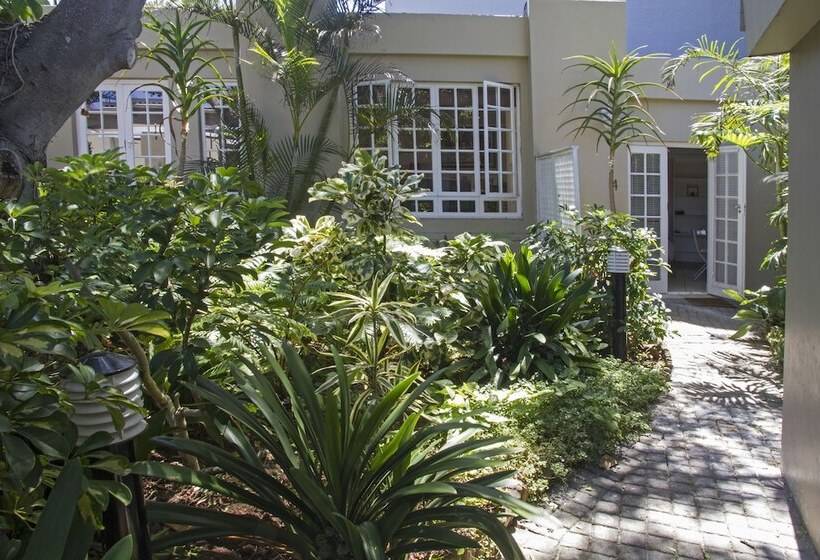 اتاق خانوادگی, Conifer Beach House