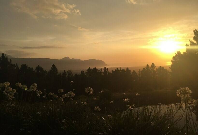 豪华房间, Lalapanzi Lodge