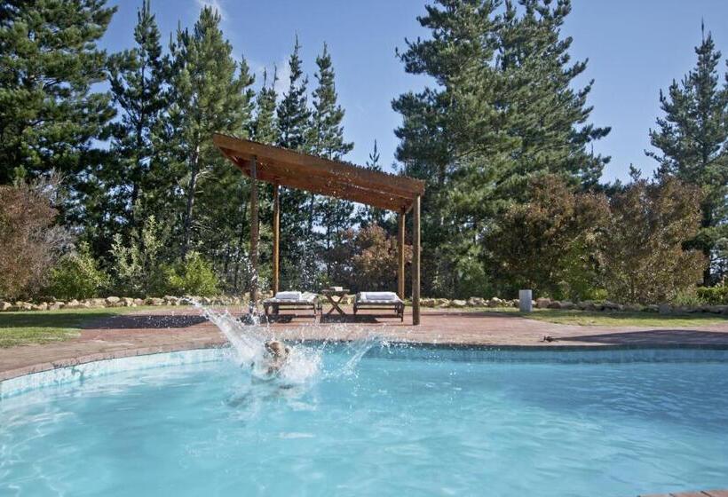 一居室别墅, Lalapanzi Lodge