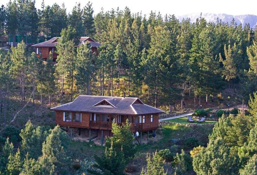 一居室别墅, Lalapanzi Lodge