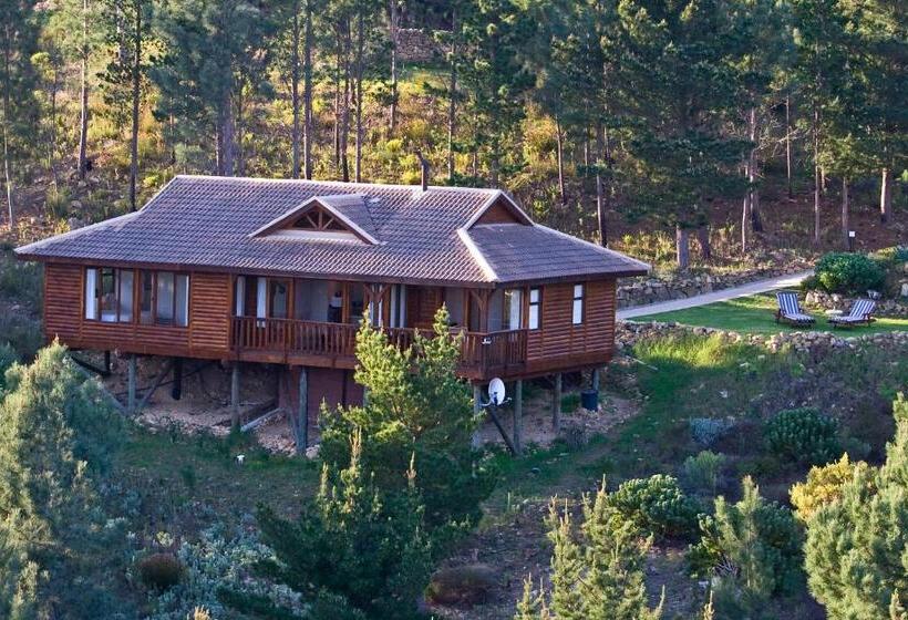 一居室别墅, Lalapanzi Lodge