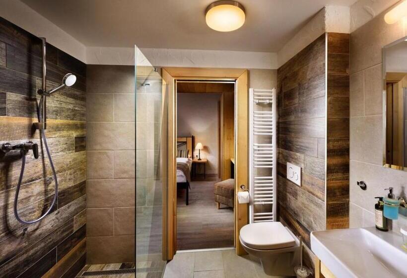 Апартаменты 1 Спальня, Chalets Jasná Collection Apartments