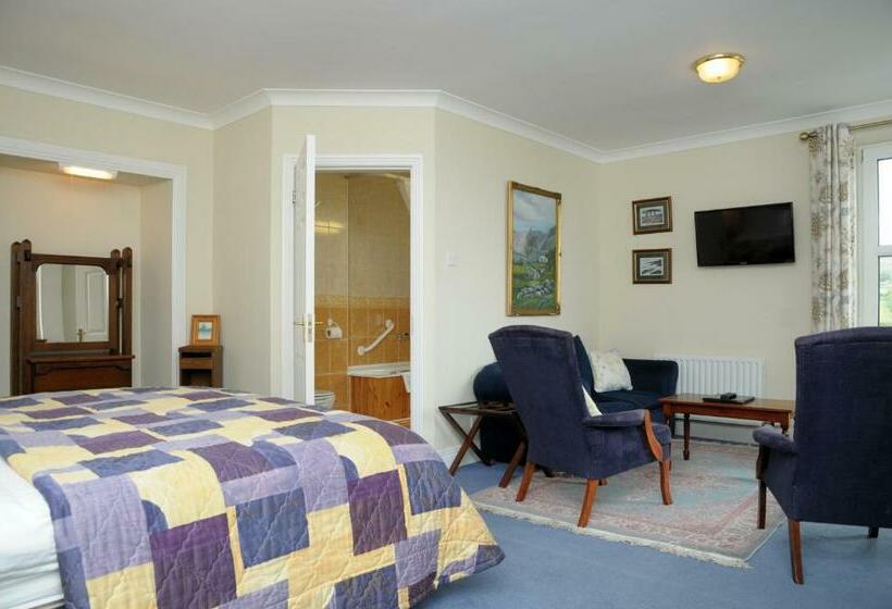 带海景的标准房, Milltown House Dingle