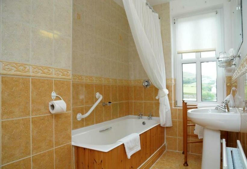 带海景的标准房, Milltown House Dingle