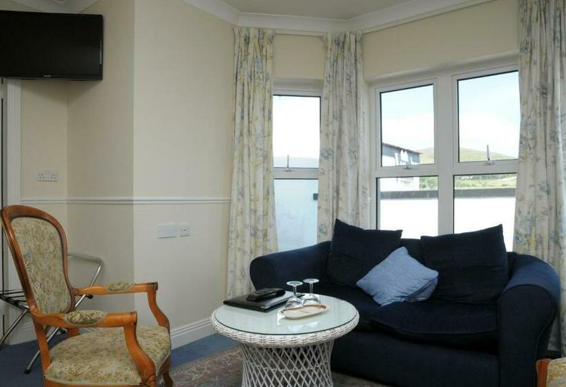 带海景的标准房, Milltown House Dingle