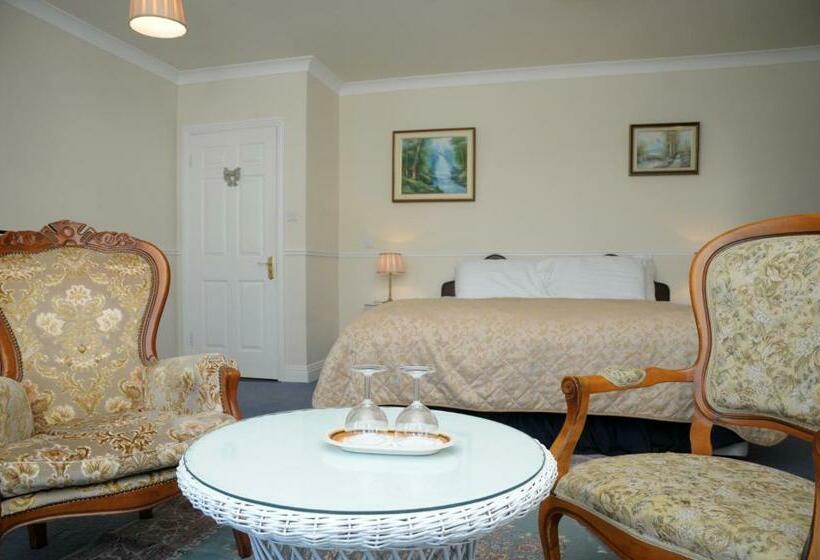 带海景的标准房, Milltown House Dingle