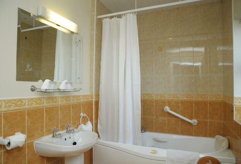 带海景的标准房, Milltown House Dingle