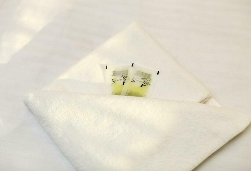 스탠다드 룸, Penzion Krumlov   B&b   Massage Studio