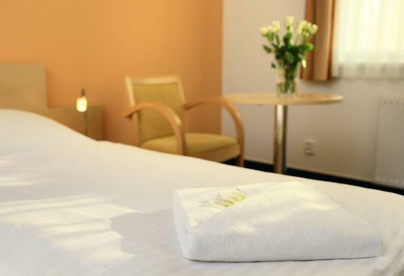스탠다드 룸, Penzion Krumlov   B&b   Massage Studio
