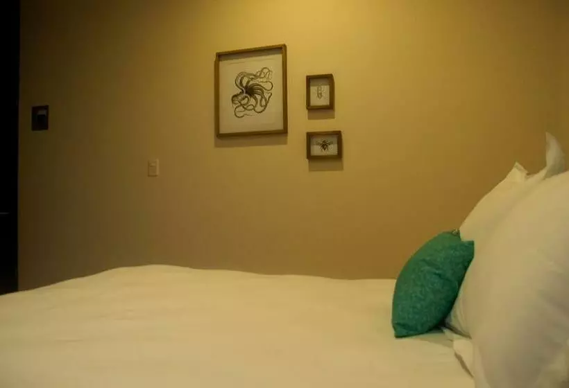 اتاق استاندارد, Shavanna Hotel Boutique