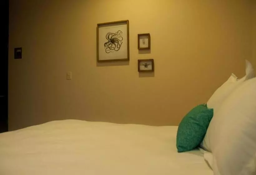 آپارتمان 1 خوابه با چشم‌انداز استخر, Shavanna Hotel Boutique