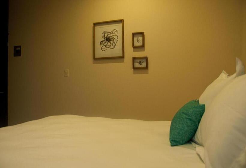 דירת שלושה חדרים, Shavanna Hotel Boutique