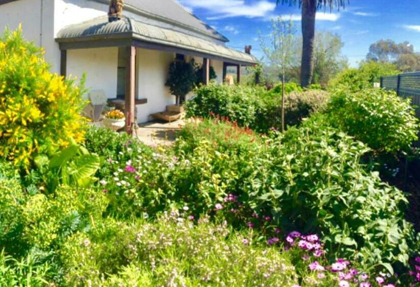 豪华小屋, Terra Firma Mclaren Vale