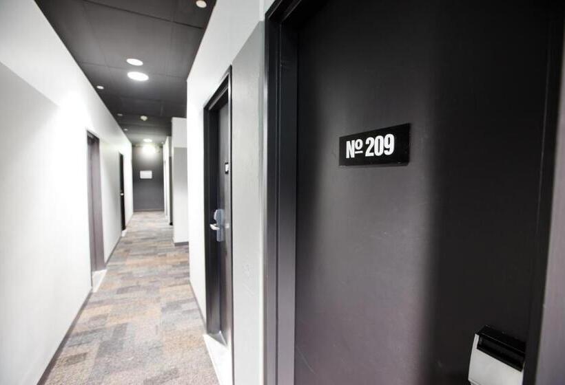 سرير فى غرفة مشتركه, Bunk Brisbane