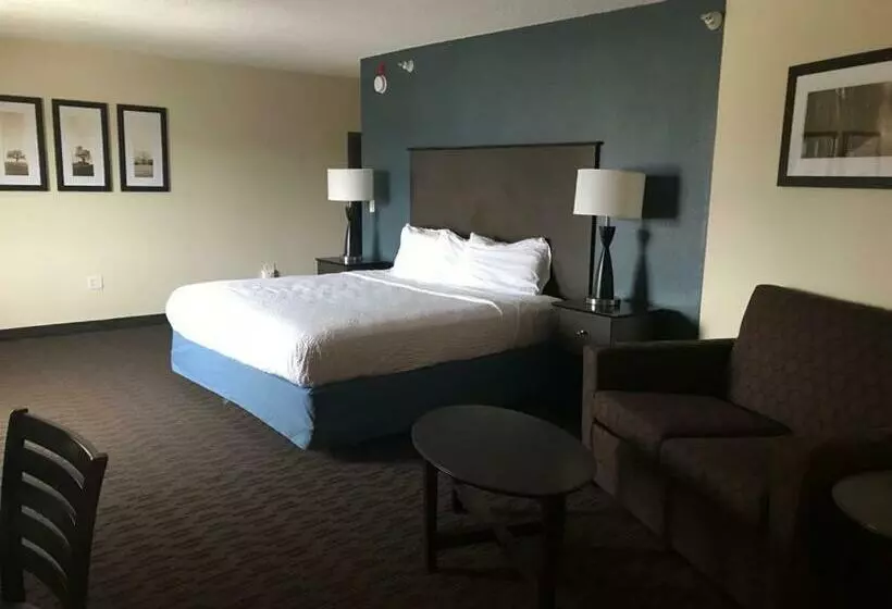 キングサイズベッドのスイートルーム, Americinn By Wyndham Hotel And Suites Long Lake