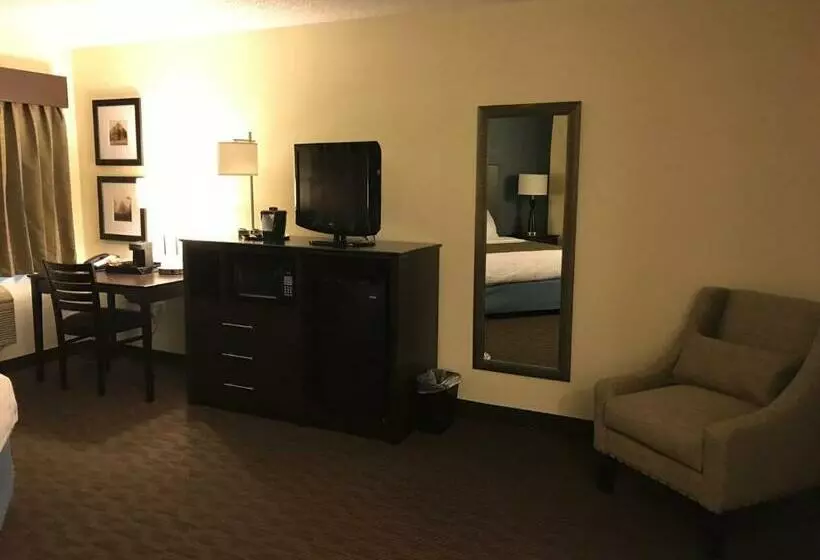 キングサイズベッドのデラックスルーム, Americinn By Wyndham Hotel And Suites Long Lake