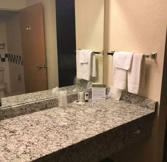 キングサイズベッドのデラックスルーム, Americinn By Wyndham Hotel And Suites Long Lake