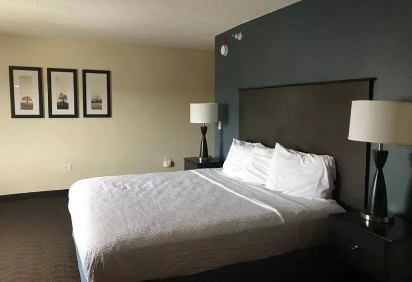 キングサイズベッドのスイートルーム, Americinn By Wyndham Hotel And Suites Long Lake