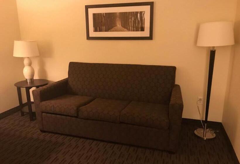 جناح سرير كينج, Americinn By Wyndham Hotel And Suites Long Lake