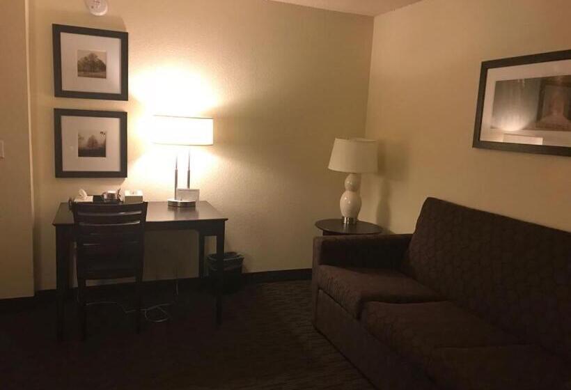 جناح سرير كينج, Americinn By Wyndham Hotel And Suites Long Lake