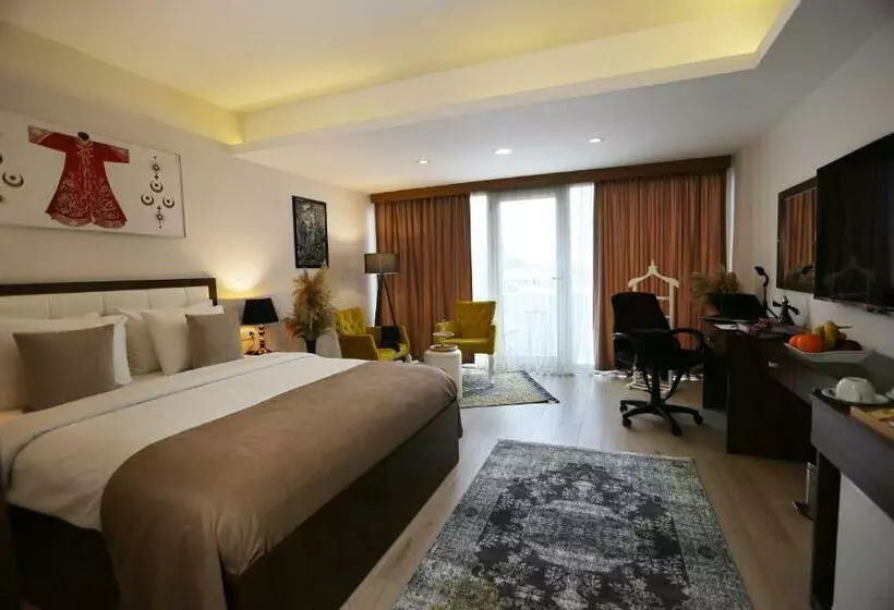 اتاق استاندارد, Cebeci Grand