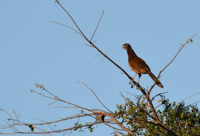 غرفة قياسية, Colinas Del Sol
