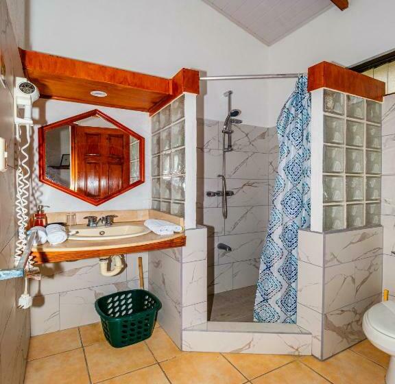 غرفة قياسية, Colinas Del Sol