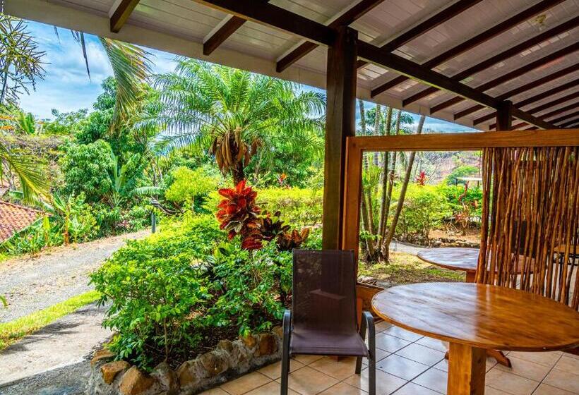 غرفة قياسية, Colinas Del Sol