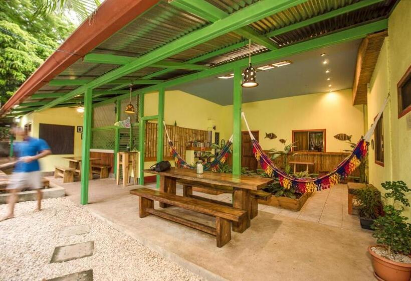 Номер Стандарт, Indra Inn