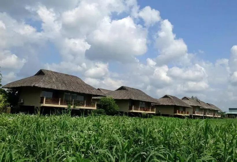بانگلوی لوکس, Mekong Riverside Boutique Resort & Spa