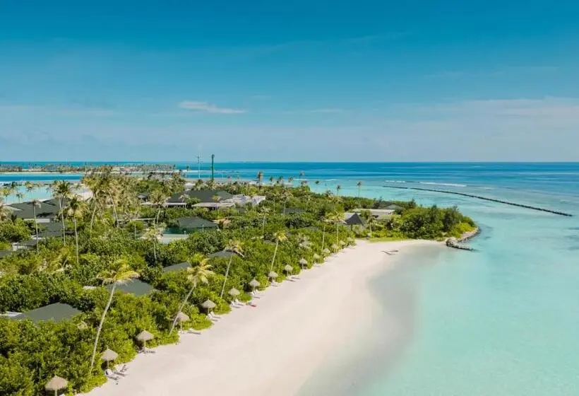 2 Bedroom Apartment with Pool, Joy Island Maldives All Inclusive Resort