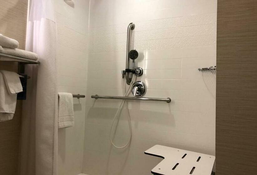 غرفة قياسية, Fairfield Inn & Suites By Marriott Alexandria