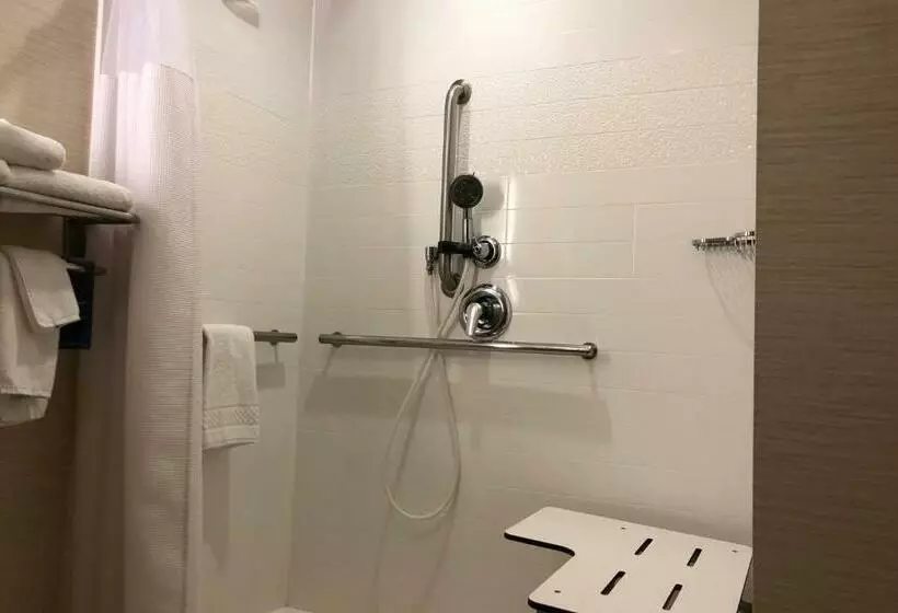 スタンダードルーム, Fairfield Inn & Suites By Marriott Alexandria