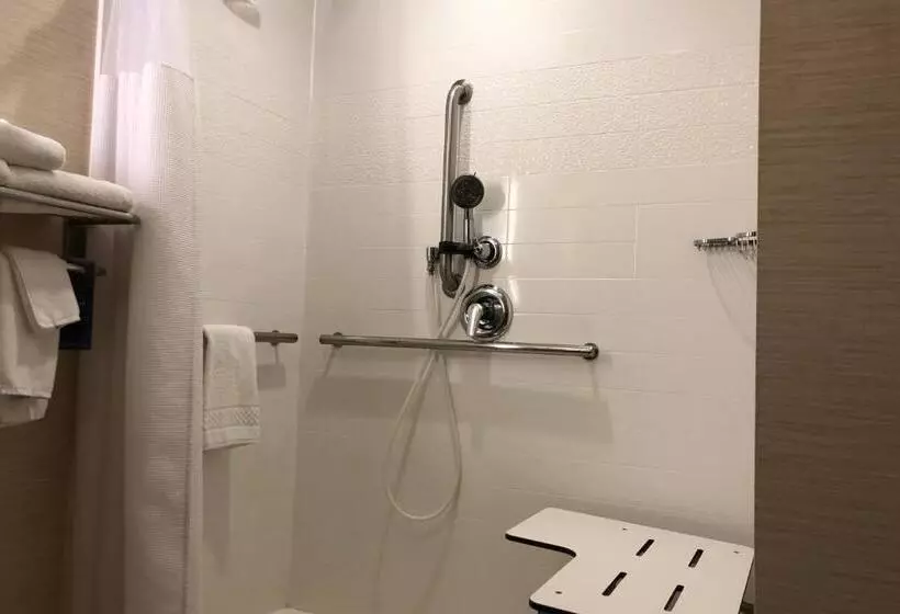 1階のスタンダードルーム, Fairfield Inn & Suites By Marriott Alexandria