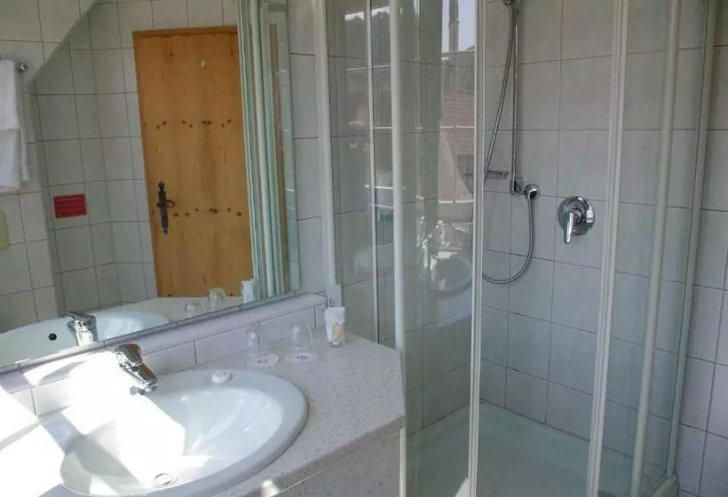 Standard Yhden Hengen Huone, Landhotel & Restaurant Kains Hof