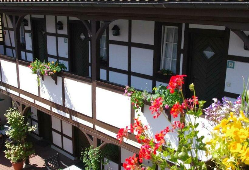 غرفة قياسية فردية, Landhotel & Restaurant Kains Hof