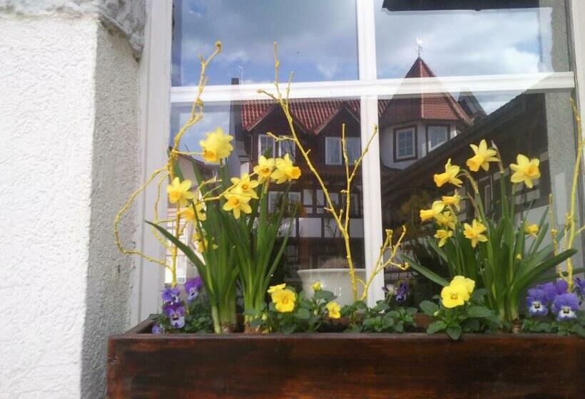 غرفة قياسية فردية, Landhotel & Restaurant Kains Hof