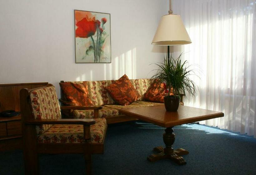 חדר סטנדרט יחיד, Landhotel Sonnenbühl