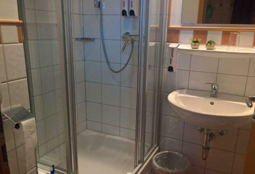 豪华单人间, Mettner Hof