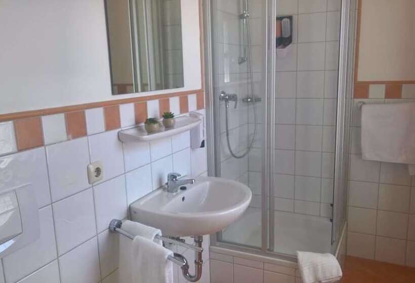 豪华单人间, Mettner Hof