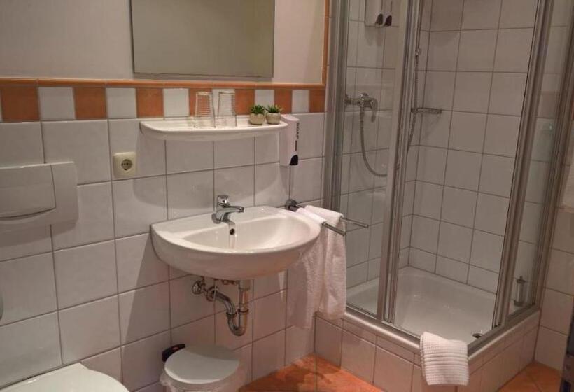 豪华单人间, Mettner Hof