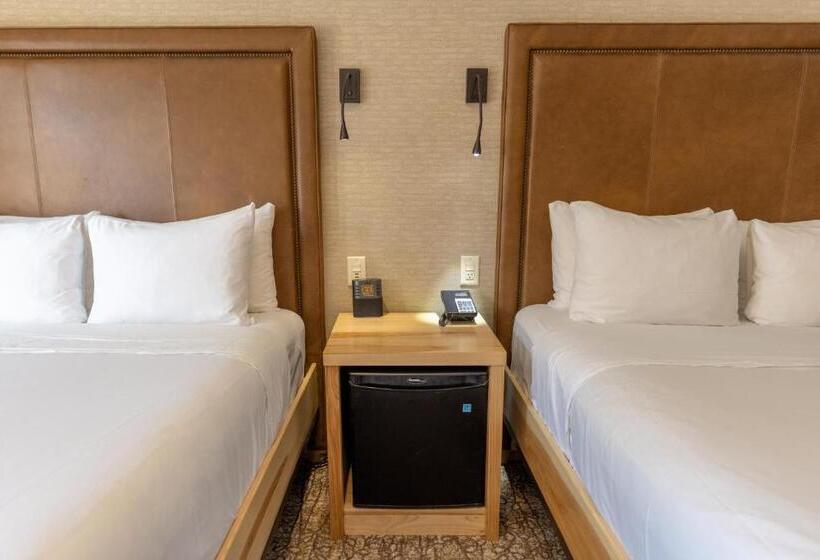 חדר סופריור, Moose Hotel And Suites