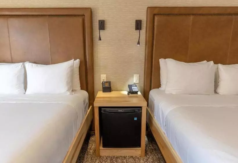 スーペリアールーム, Moose Hotel And Suites