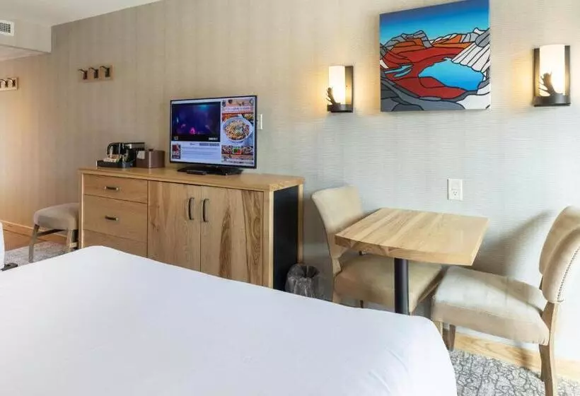 スーペリアールーム, Moose Hotel And Suites